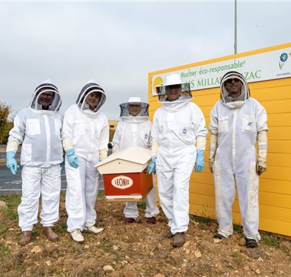 Quand les abeilles s’invitent sur l’Aire du Larzac