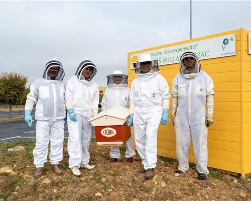 Quand les abeilles s’invitent sur l’Aire du Larzac