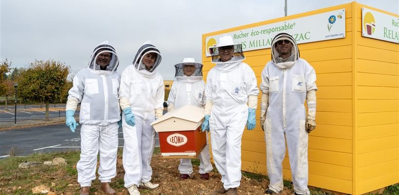 Un rucher sur l'Aire du Larzac